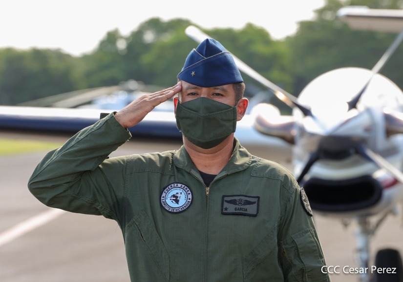 aerea